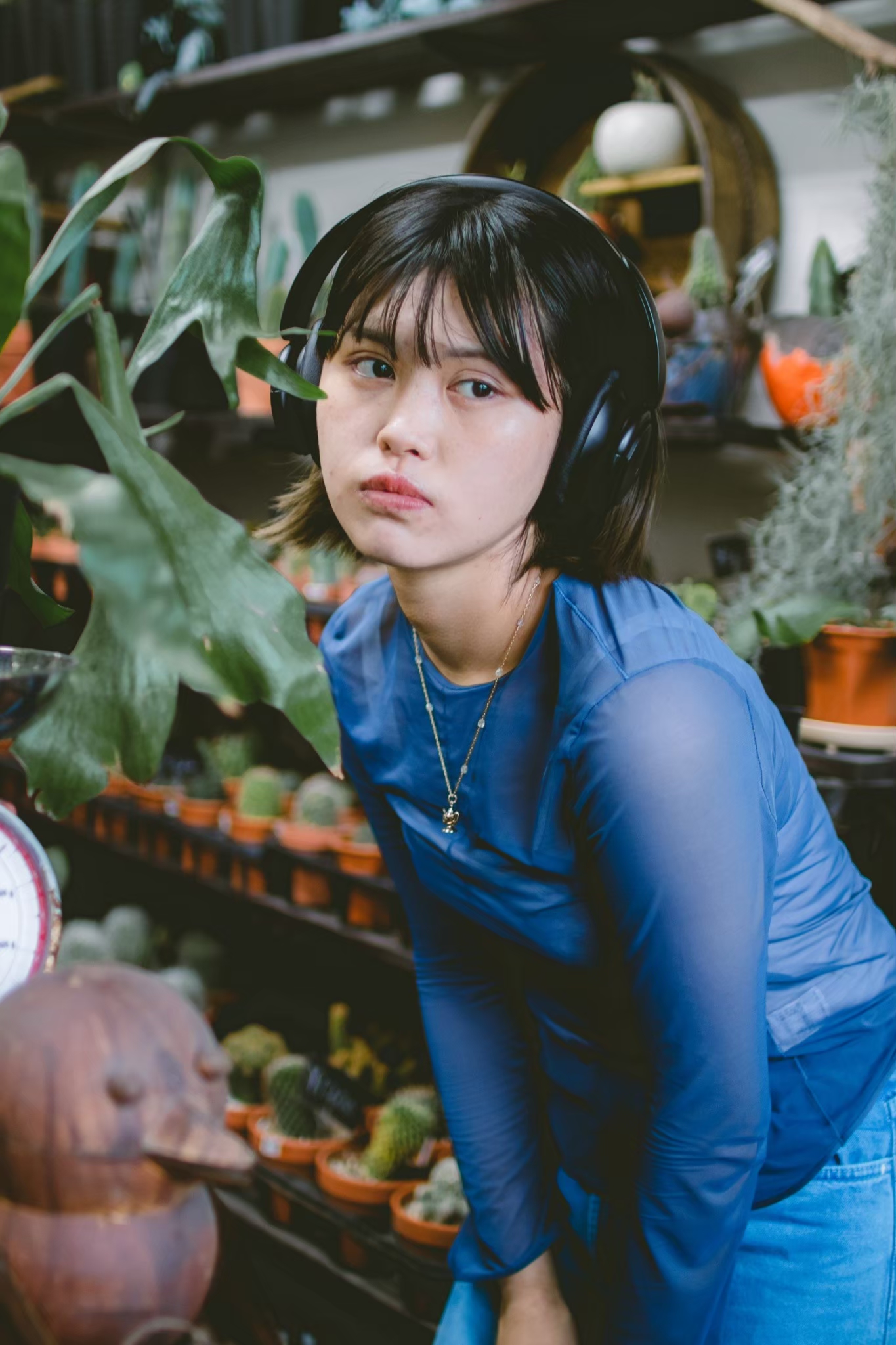 宣材 宣材